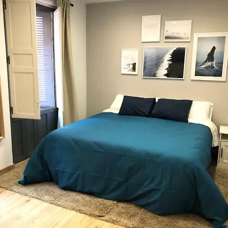 Guest house Infinium Zamora