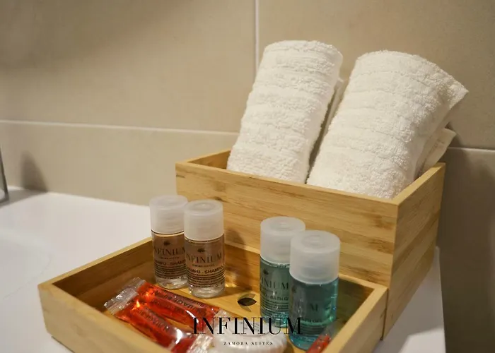 Infinium Maison d'hôtes Zamora